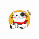 猫番阅读