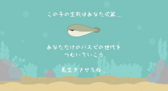萨卡班甲鱼养成无广告