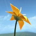 Flower花