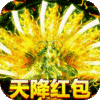 传奇国度（天降红包）